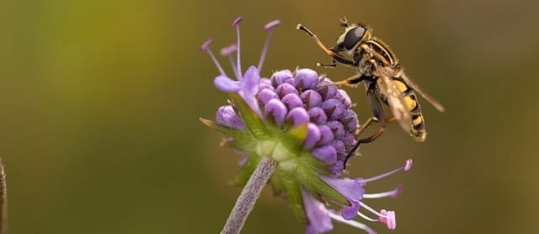 364 הצופן הנומרולוגי של חודש חשון