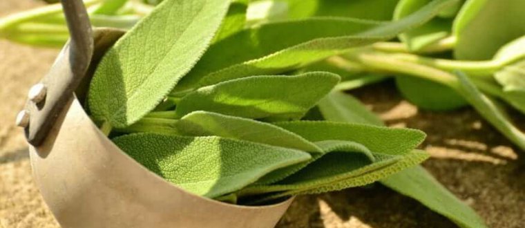 טיהור אנרגטי